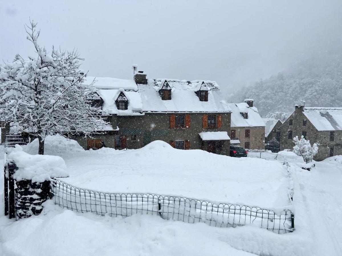 Marmotte Gite 2A4 Personnes Avec Cheminee A 10Mn Des Pistes Aragnouet Εξωτερικό φωτογραφία